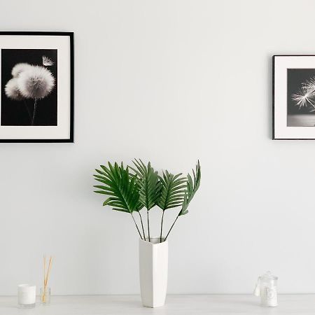 Apartament Chyba Snisz Ланьцут Екстер'єр фото